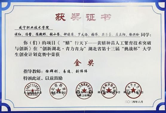 image4.jpeg